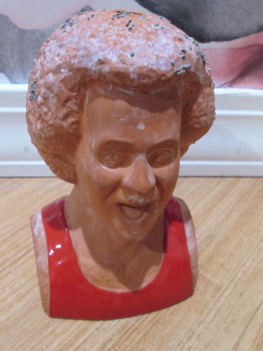 Richard Simmons Chia Pet been sitting 3 months! Other chias available!